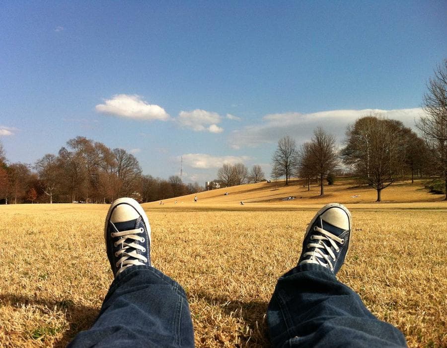 Local agent support - Auto Insurance in Port St. Lucie, FL