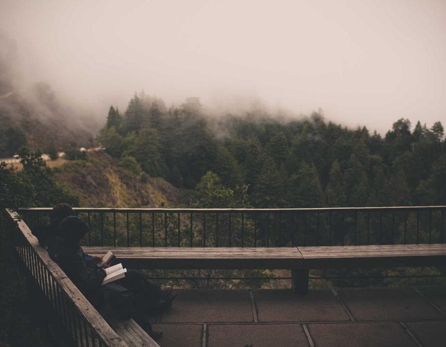 Local agent support - Auto Insurance in Tallahassee, FL