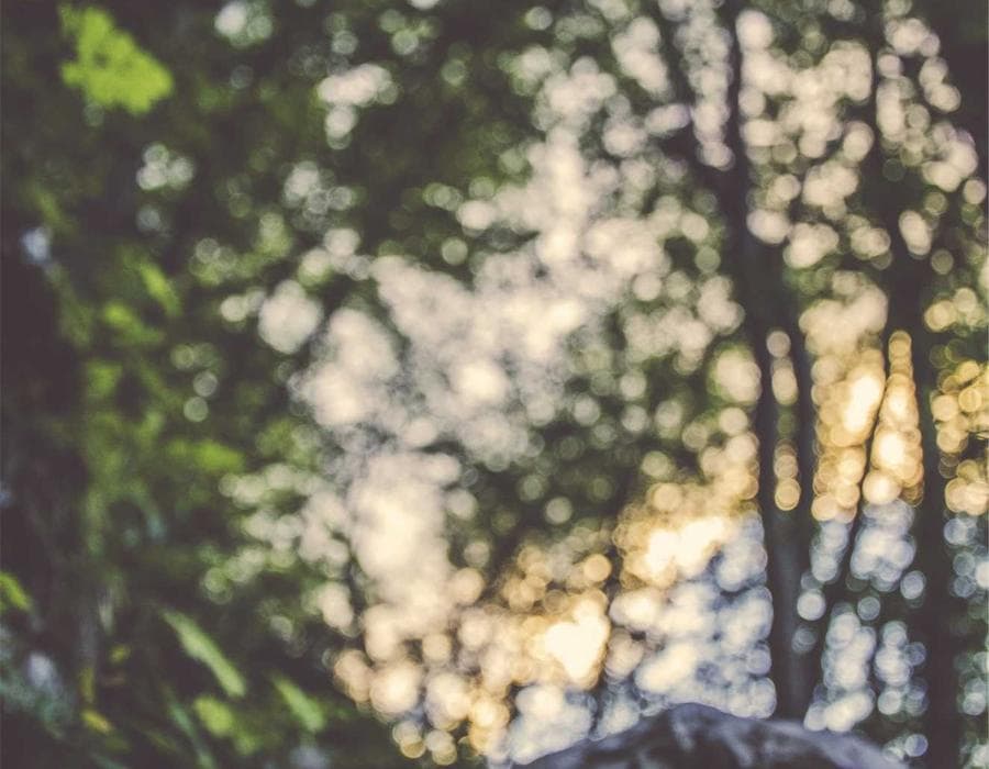 Coverage for Jacksonville, FL commutes - Auto Insurance in Jacksonville, FL