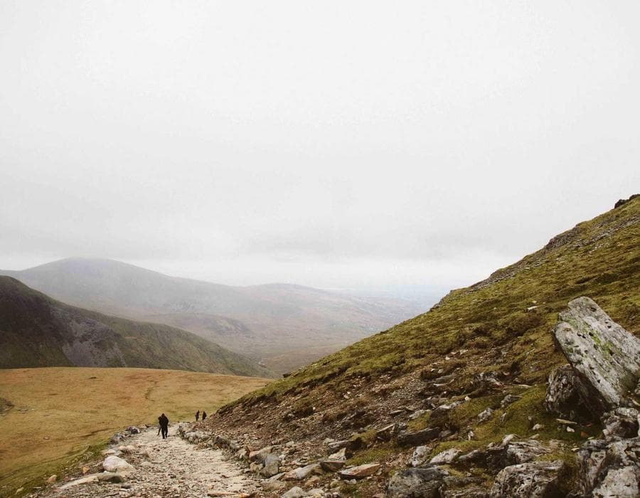 PIP and liability essentials - Auto Insurance in Jacksonville, FL