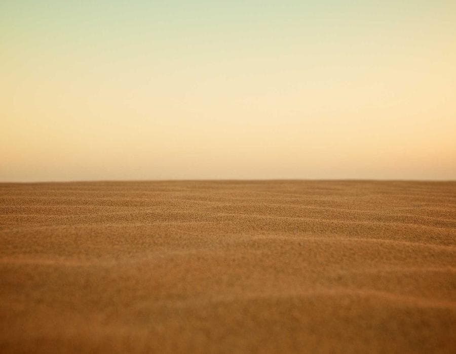 PIP and liability essentials - Auto Insurance in Orlando, FL