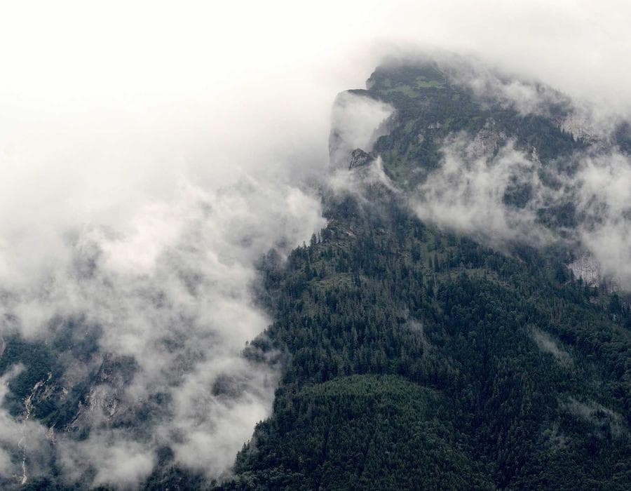 PIP and liability essentials - Auto Insurance in Tallahassee, FL