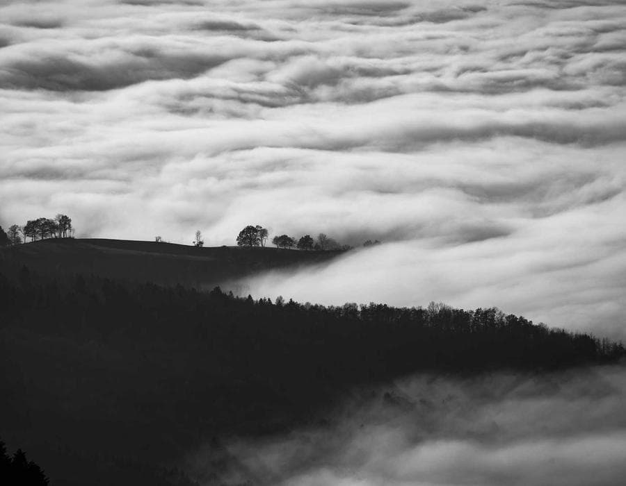 PIP and liability essentials - Auto Insurance in West Palm Beach, FL