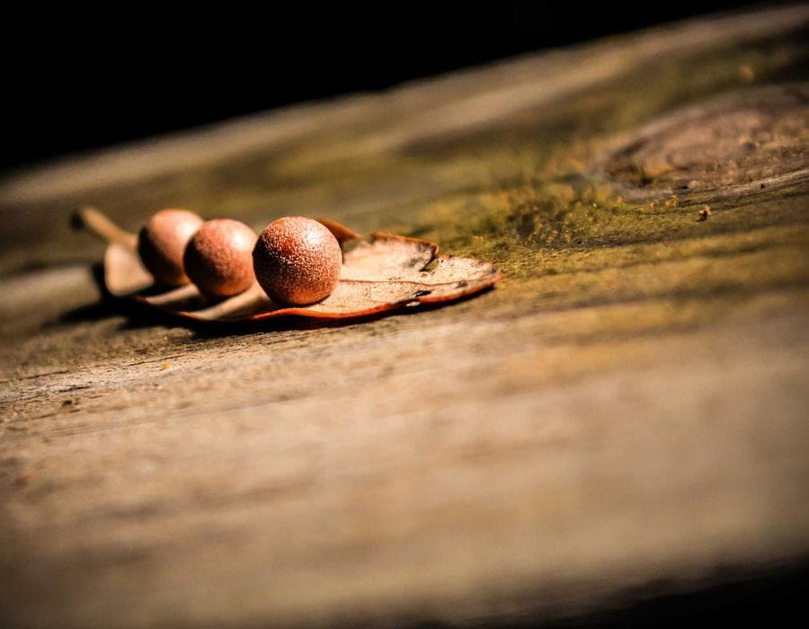 SR-22 and high-risk help - Auto Insurance in Fort Lauderdale, FL