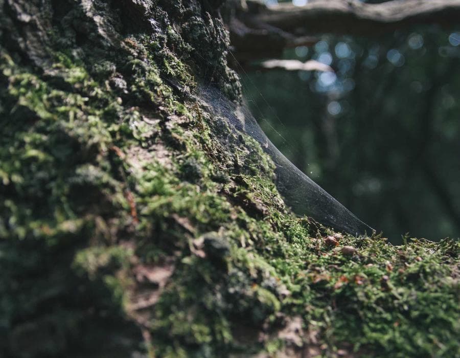 SR-22 and high-risk help - Auto Insurance in Miami, FL