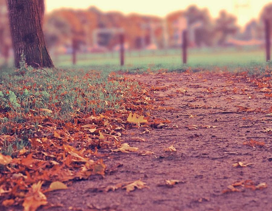 SR-22 and high-risk help - Auto Insurance in Pembroke Pines, FL