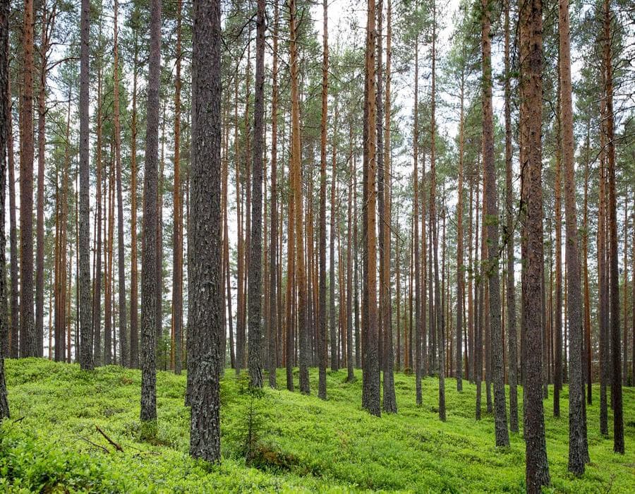 Family and individual plans - Health Insurance in Pembroke Pines, FL