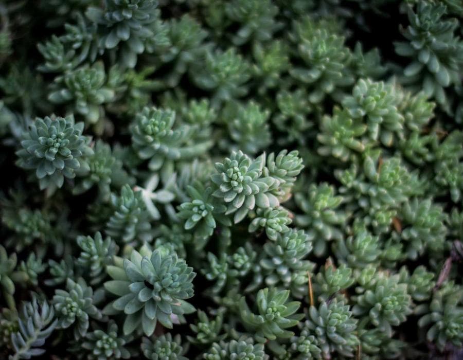 Family and individual plans - Health Insurance in Port St. Lucie, FL