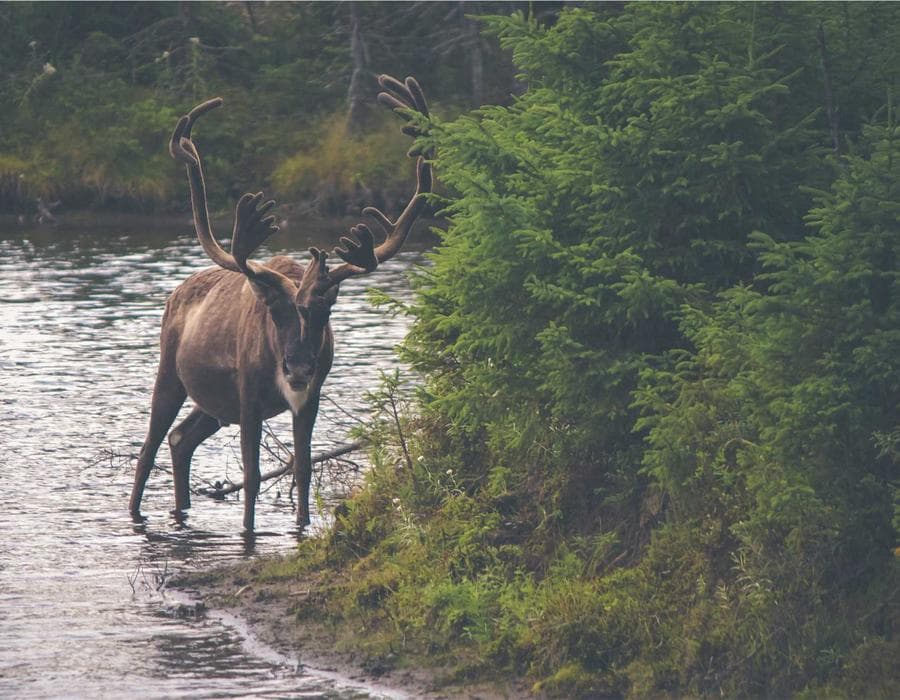 Provider networks near Miramar, FL - Health Insurance in Miramar, FL