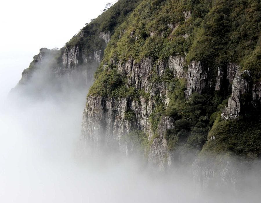 Fast enrollment support - Health Insurance in Gainesville, FL