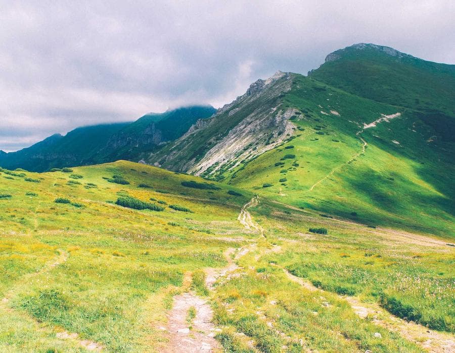 Fast enrollment support - Health Insurance in Pembroke Pines, FL