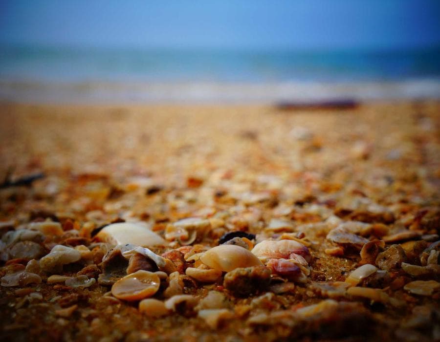 Local claims guidance - Home Insurance in Cape Coral, FL