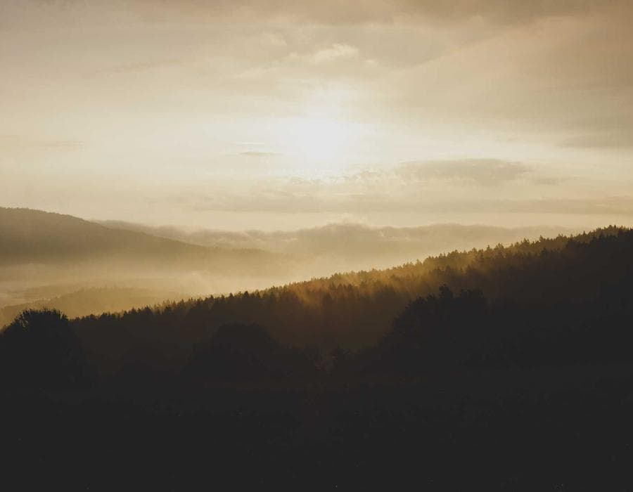 Local claims guidance - Home Insurance in Fort Lauderdale, FL