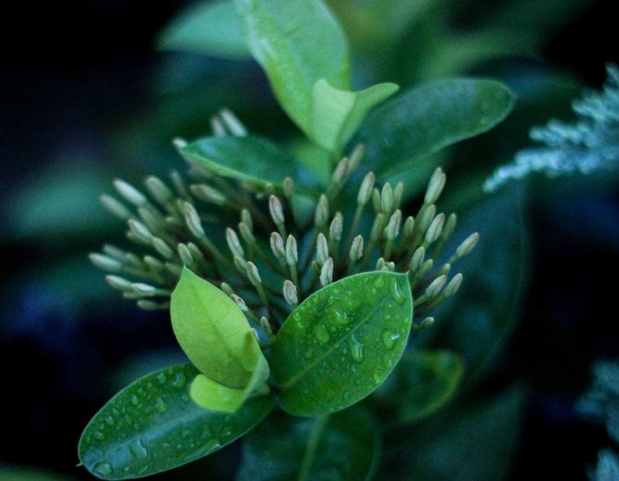 Local claims guidance - Home Insurance in Hollywood, FL