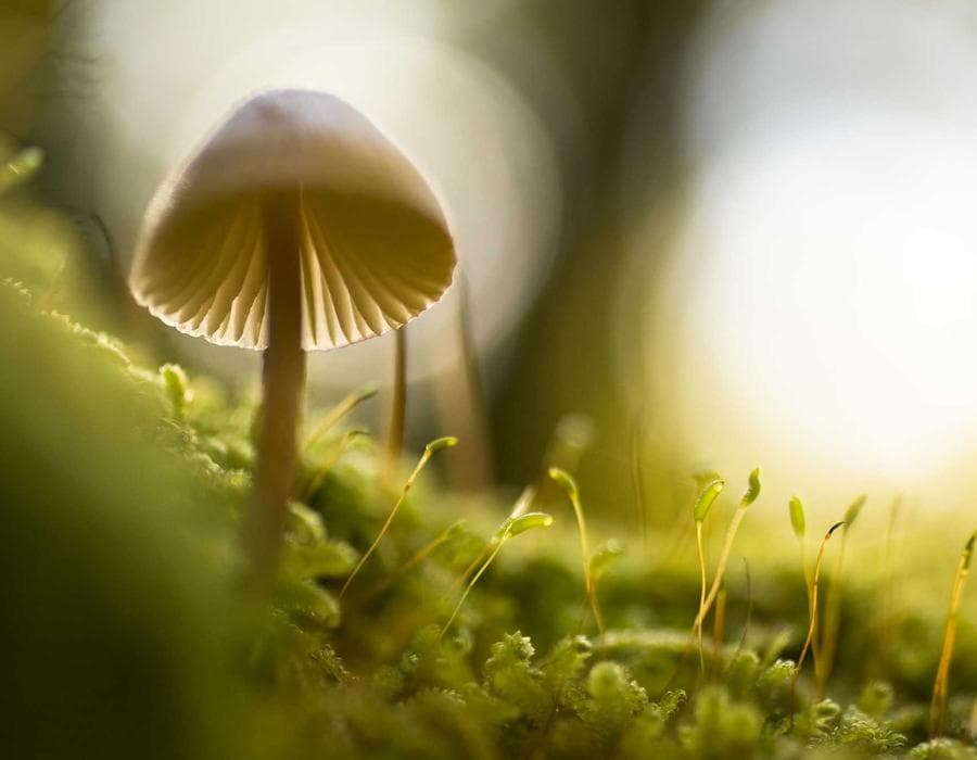 Local claims guidance - Home Insurance in Miami, FL