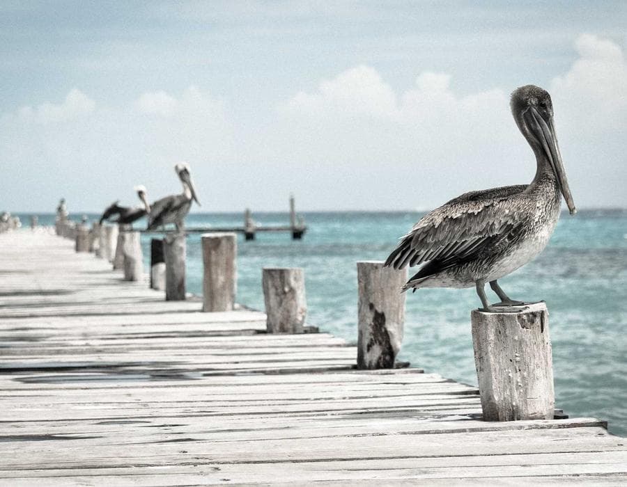 Local claims guidance - Home Insurance in Port St. Lucie, FL