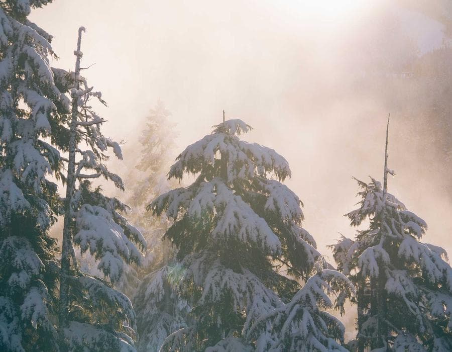 Flood protection add-ons - Home Insurance in Tallahassee, FL