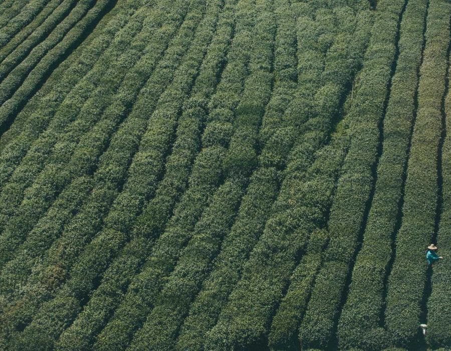 Flood protection add-ons - Home Insurance in West Palm Beach, FL