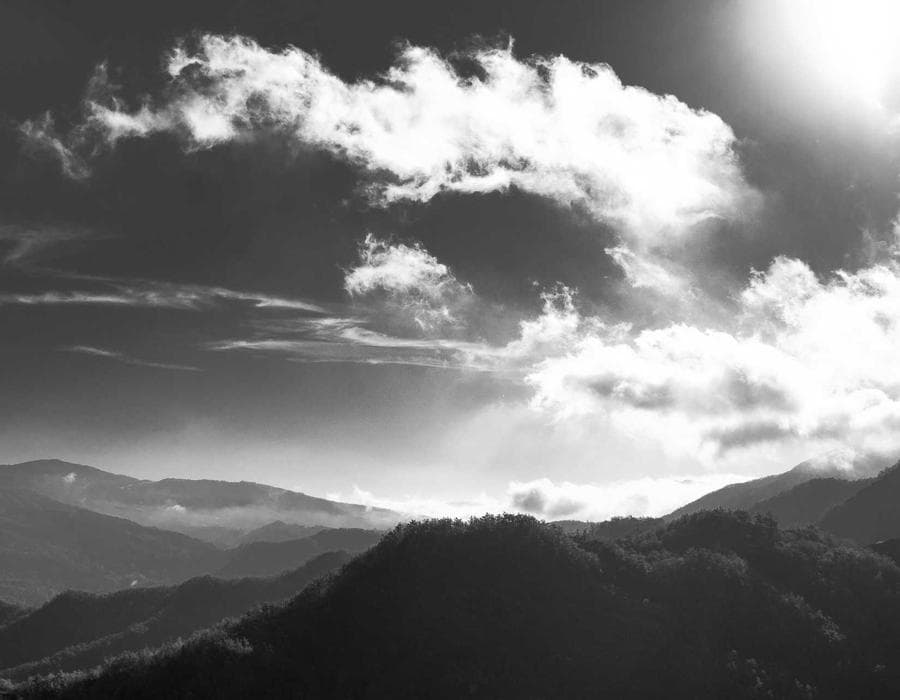 Roof and wind mitigation savings - Home Insurance in Cape Coral, FL