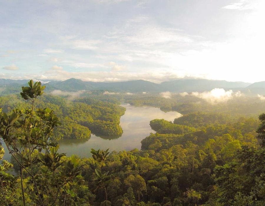 Roof and wind mitigation savings - Home Insurance in Fort Lauderdale, FL