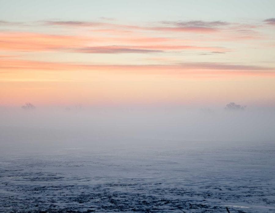 Roof and wind mitigation savings - Home Insurance in St. Petersburg, FL