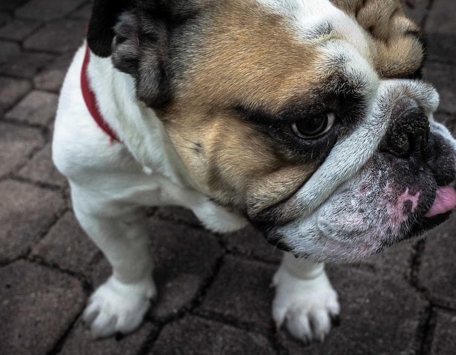 Local advisor support - Life Insurance in Gainesville, FL