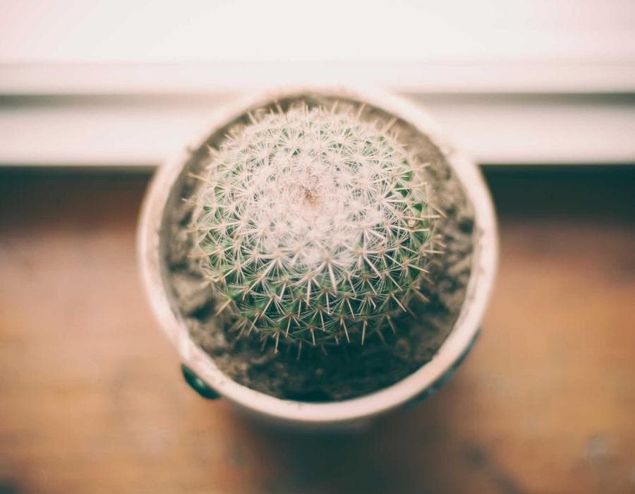 Local advisor support - Life Insurance in Orlando, FL