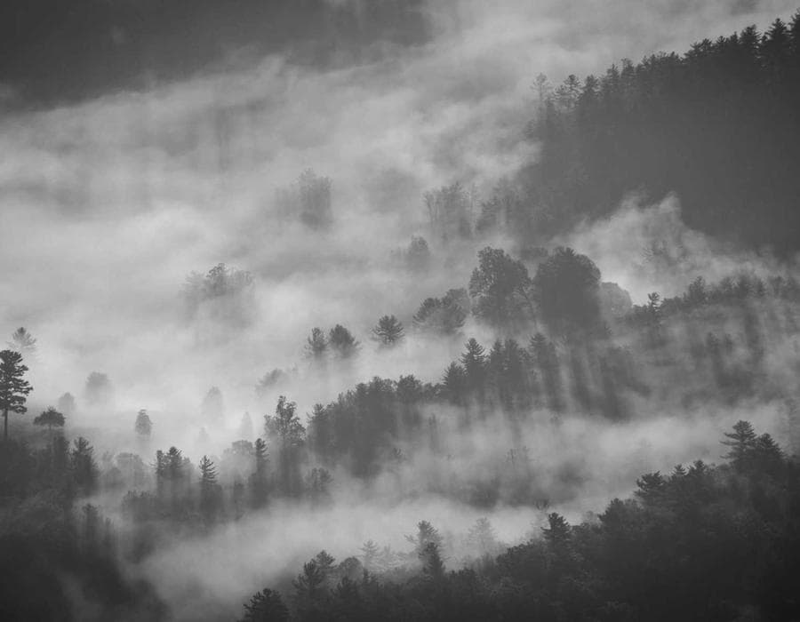 Local advisor support - Life Insurance in Port St. Lucie, FL