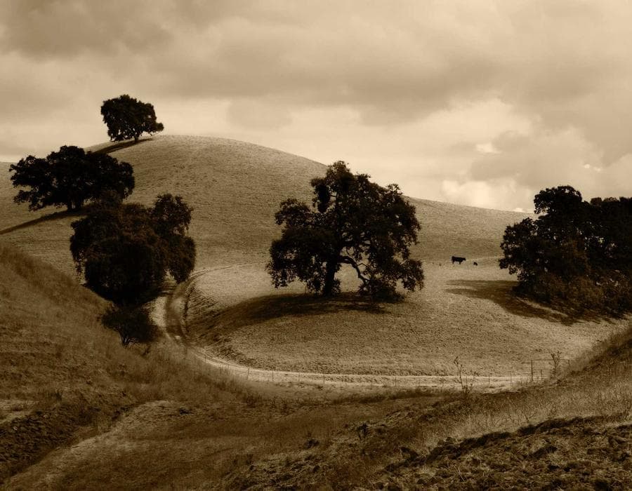 Wealth-building policies - Life Insurance in Jacksonville, FL