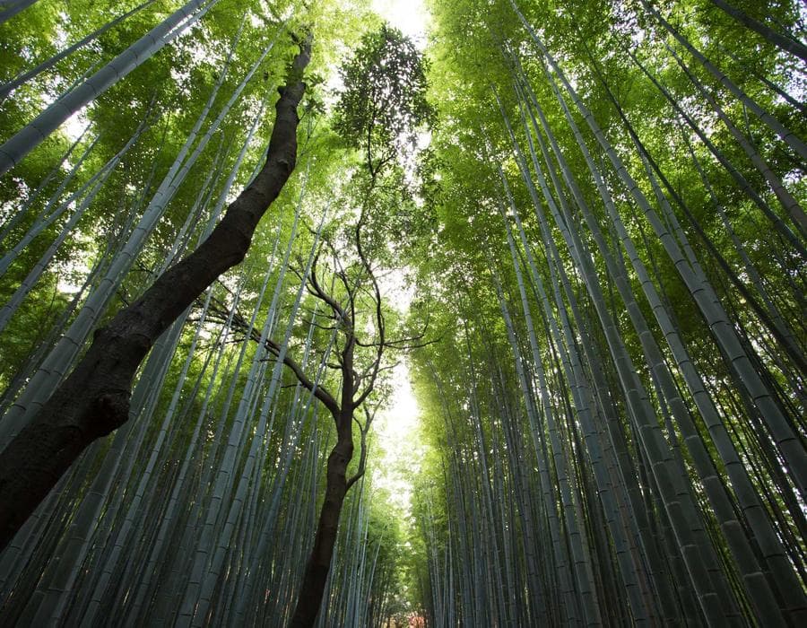 Wealth-building policies - Life Insurance in Orlando, FL