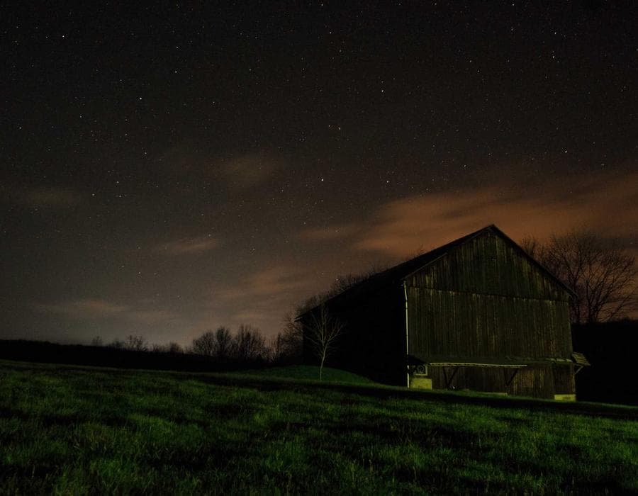 Wealth-building policies - Life Insurance in St. Petersburg, FL