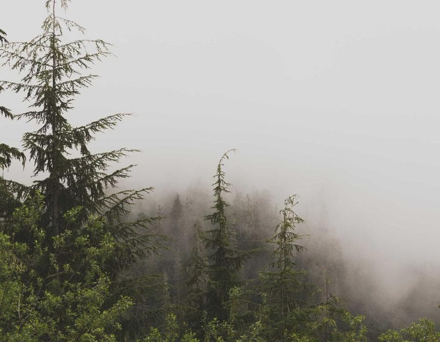 Wealth-building policies - Life Insurance in Tallahassee, FL