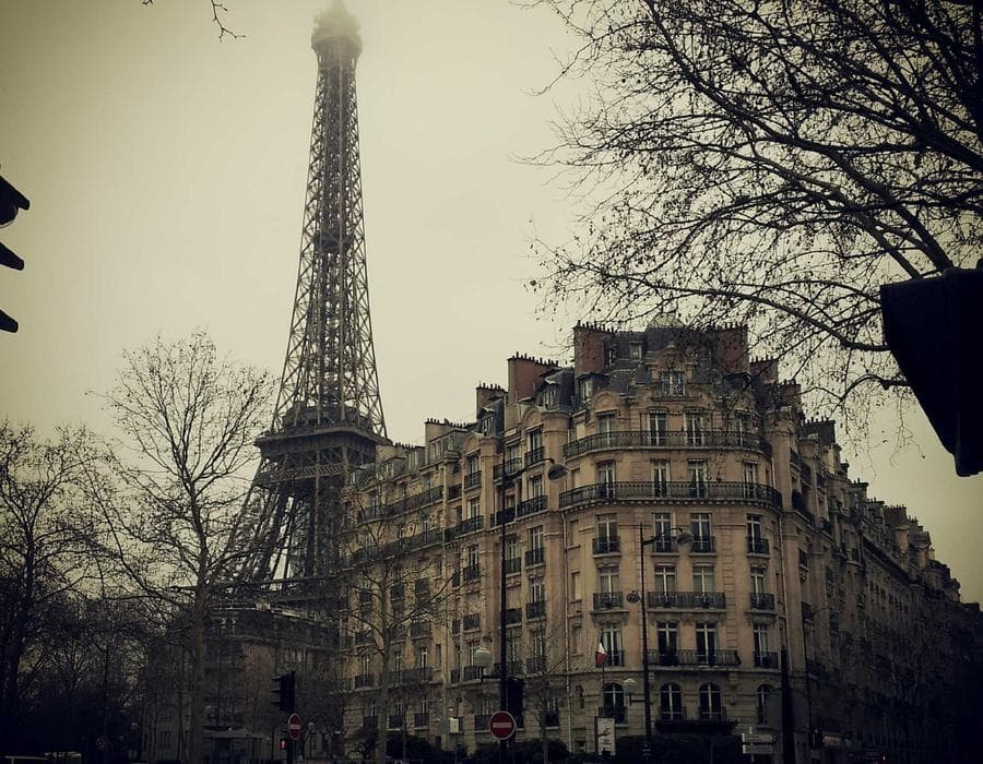 Wealth-building policies - Life Insurance in Tampa, FL